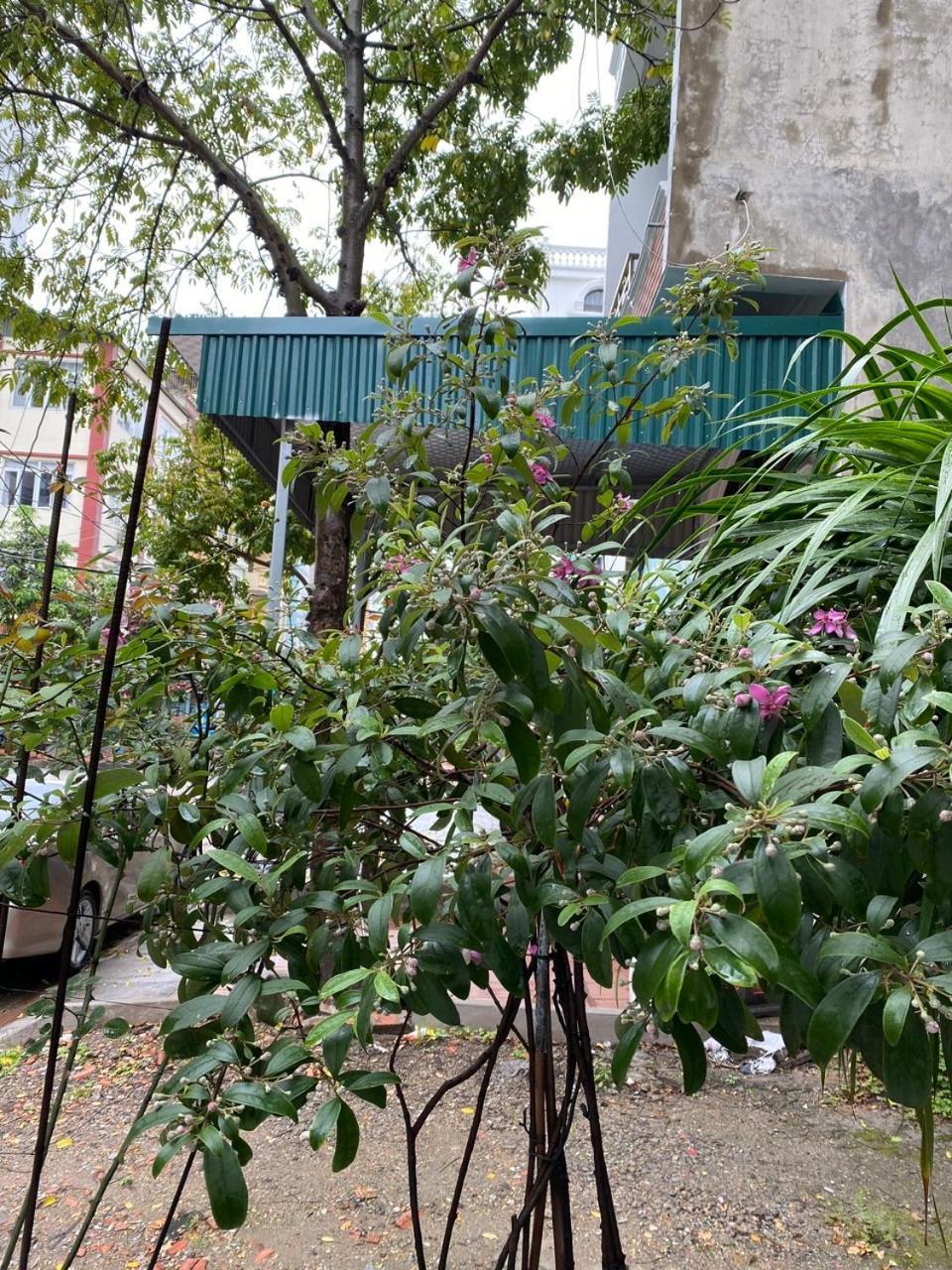 Nha Nghi Anh Dung Bed & Breakfast Ха Лонг Екстериор снимка